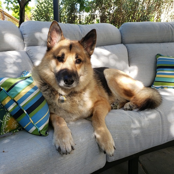 Meet your Posher, Denise - Picture 1 of 1